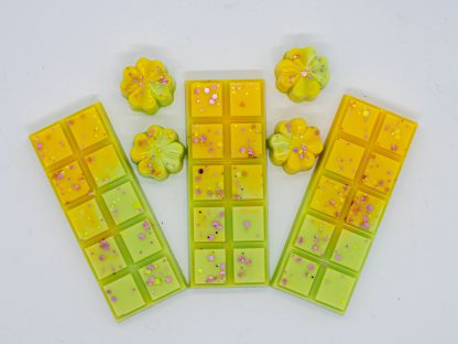 Snapbar Gele Orchidee